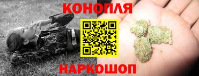 дмт Будённовск