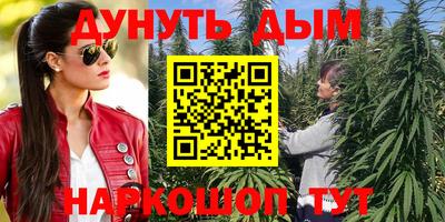 дмт Будённовск